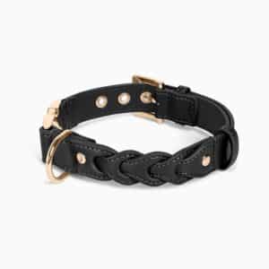 Hunde-Halsband ASCOT - Black