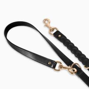Hunde Set Leine + Halsband - Black